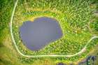 Finland, North Ostrobothnia, Rukatunturi area. Marshlands, The yellow rim is due to blooming plants Art Print